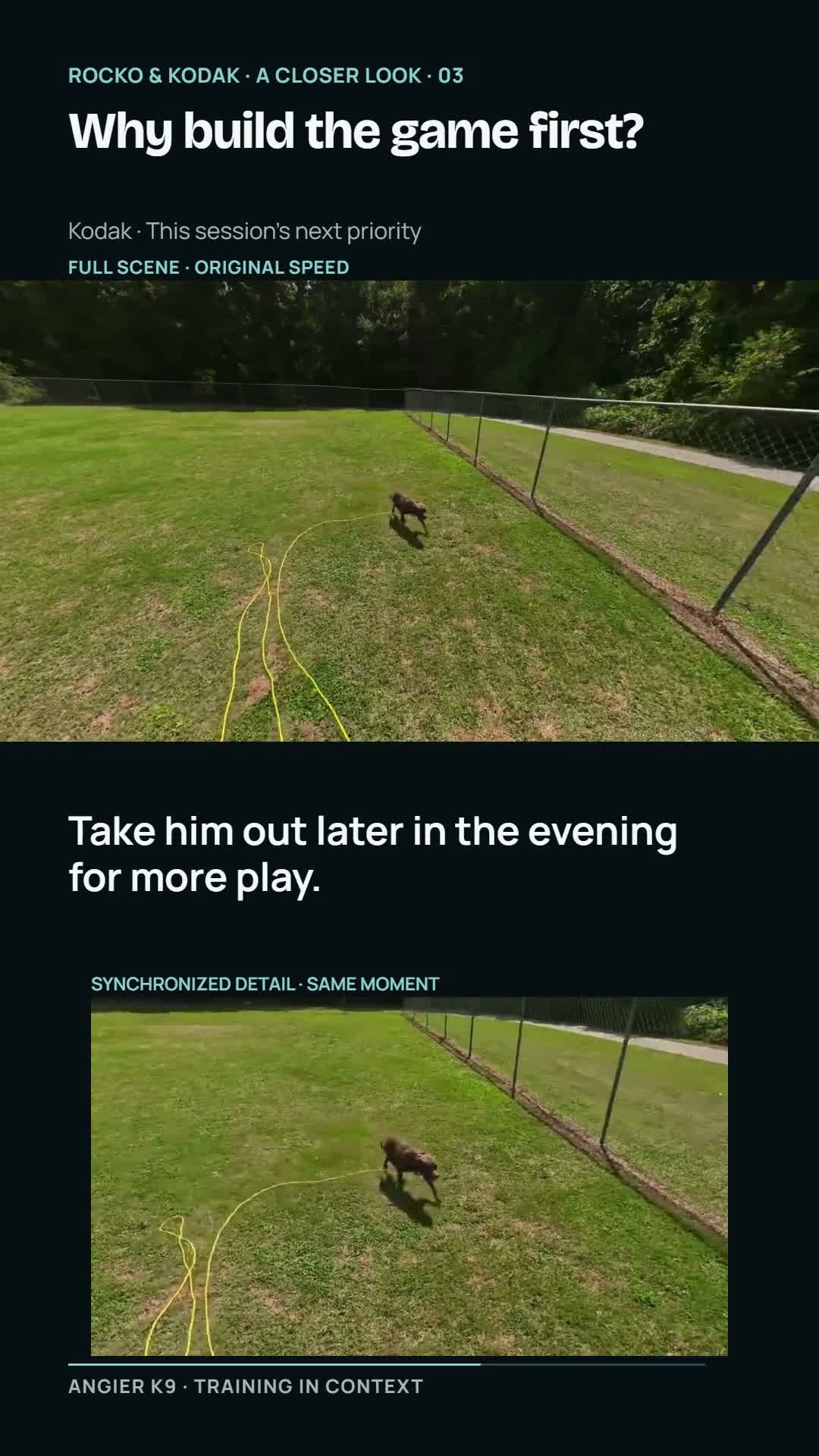Kodak appears in the same grassy-field moment in a full-scene picture above and a closer synchronized crop below. The caption describes a proposal for more evening play.